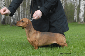 Urho